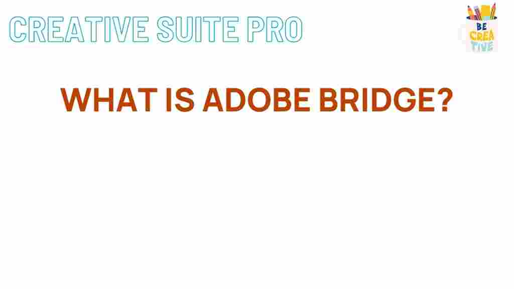 adobe-bridge-photography-organization