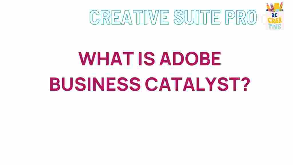 adobe-business-catalyst-explained